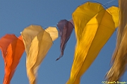 32 FESTIVAL CERVIA 2012 - 085